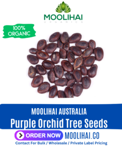 Purple Orchid Tree Seeds (Bauhinia Purpurea)