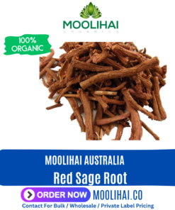 Red Sage Root / Bedmen kilangu
