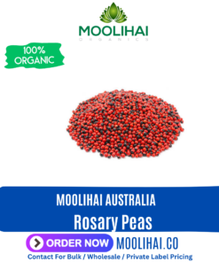 Rosary Peas / Abrus Precatorius Seeds