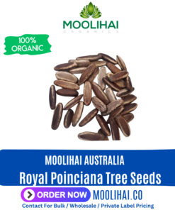 Royal Poinciana Tree Seeds (Delonix Regia)