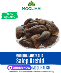 Salep Orchid/ Salamisri