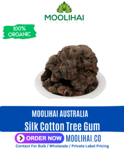 Silk Cotton Tree Gum / Mochras Gum