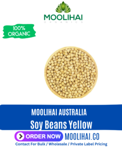 Soy Beans Yellow