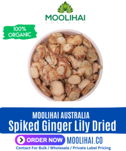 Spiked Ginger Lily Dried / Poolankilangu