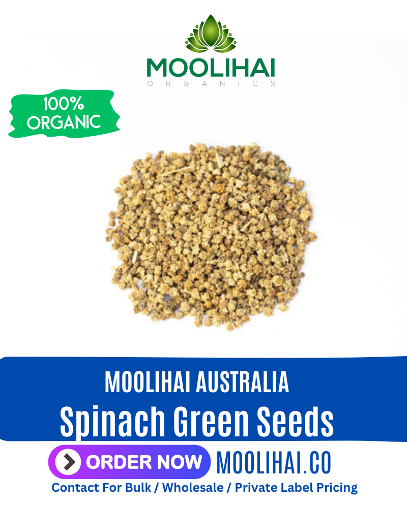 Spinach Green / Palak Seeds