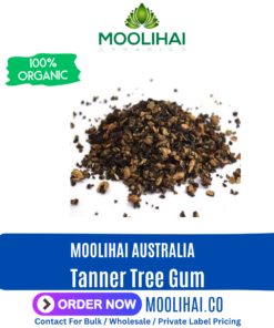 Tanner Tree Gum / Aavaram Pisin / Tarwar Phool