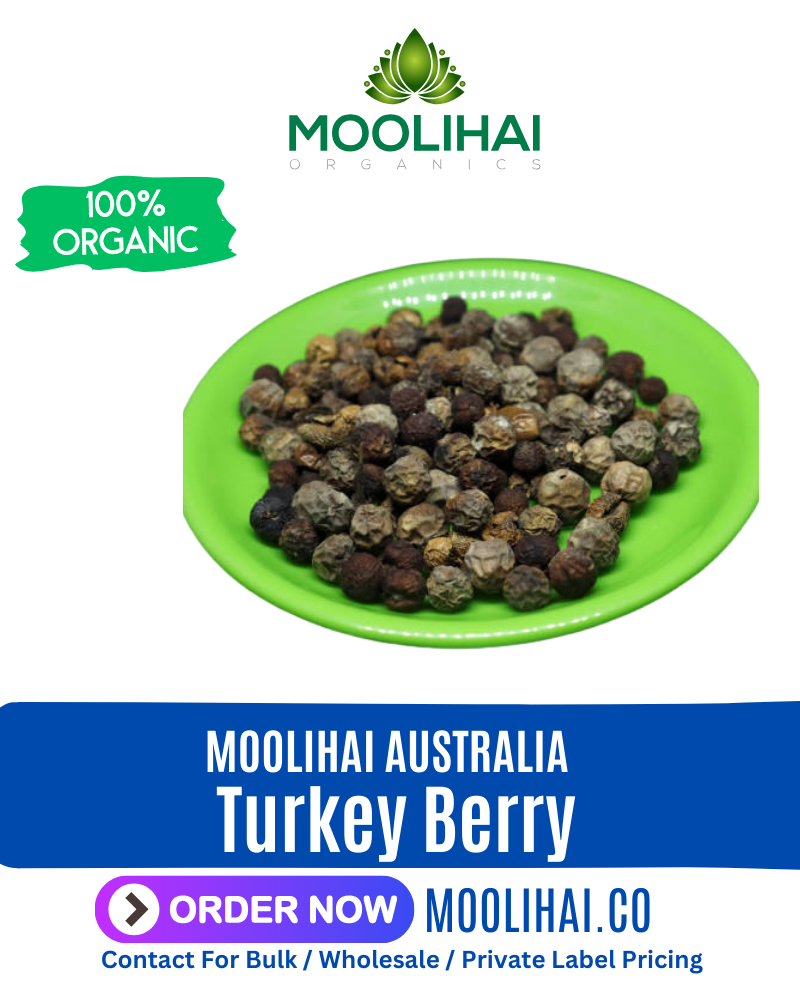 Solanum Torvum | Turkey Berry | Sundaikkai | Sundaka Vathal | Sundakkai vadagam