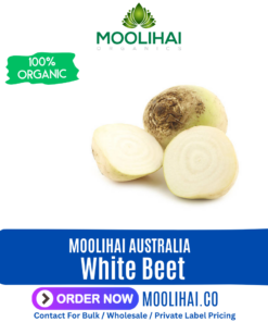 White Beet / Vellai Kizhangu