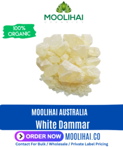 Vellai Kungiliyam / White Dammar