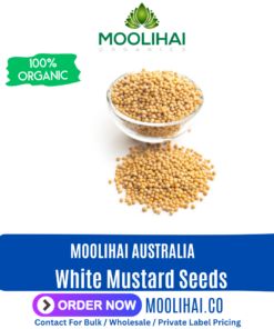 White Mustard Seeds