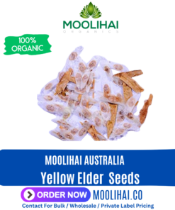 Yellow Elder (Tecoma Stans) Seeds