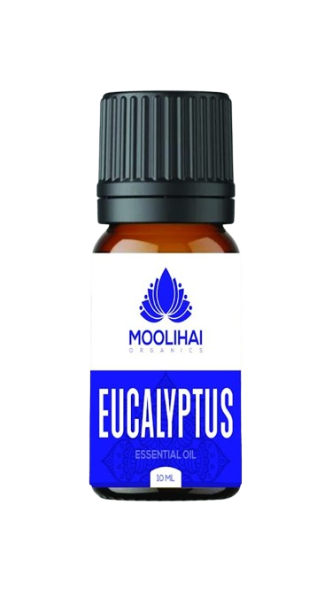 Eucalyptus Essential Oil