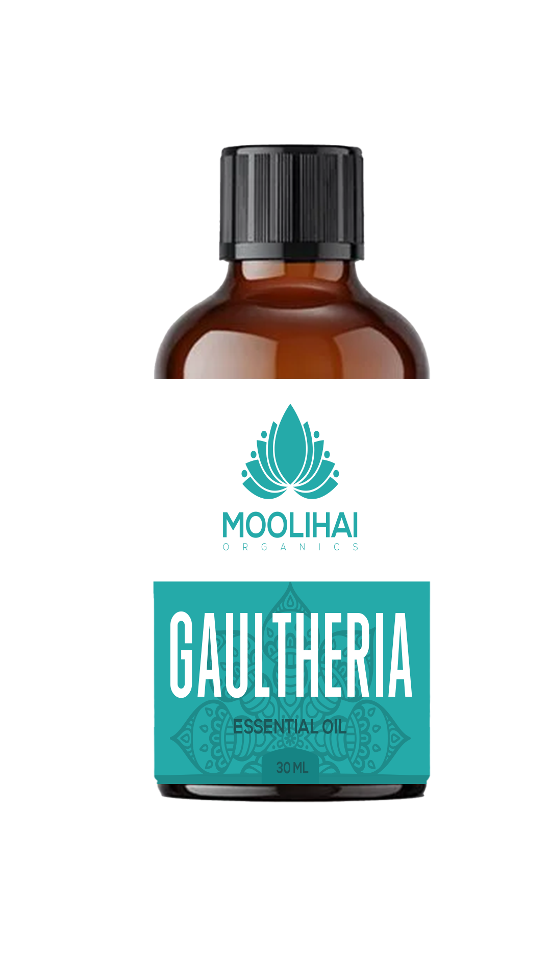 Gaultheria Essential Oil