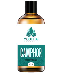 camphor Essential oil