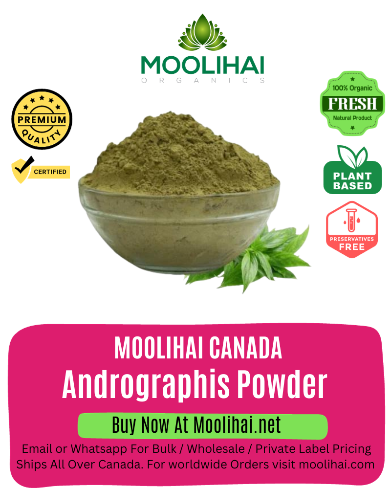 Nilavembu Powder / Andrographis Powder