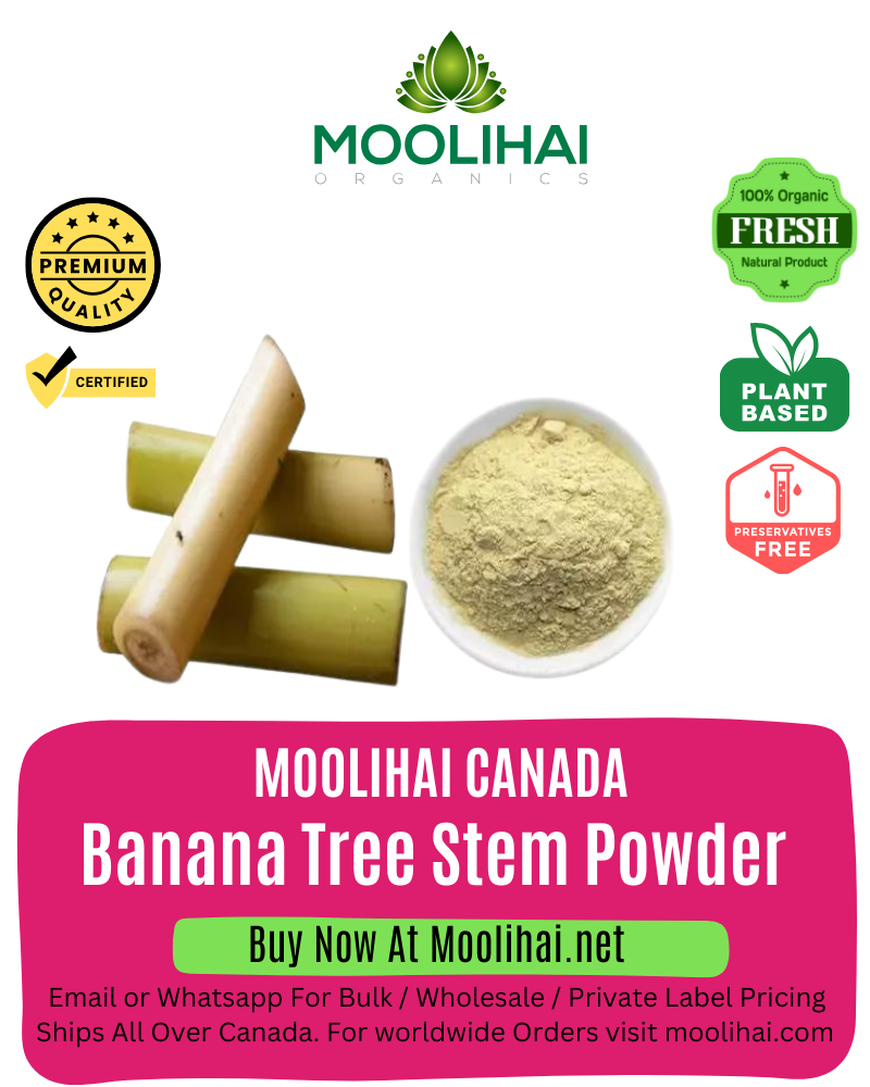 Banana Tree Stem Powder / Vazhai Thandu Podi/Musa Acuminata Powder