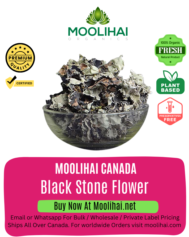 Black Stone Flower/ Dagad Pool / Kalpasi