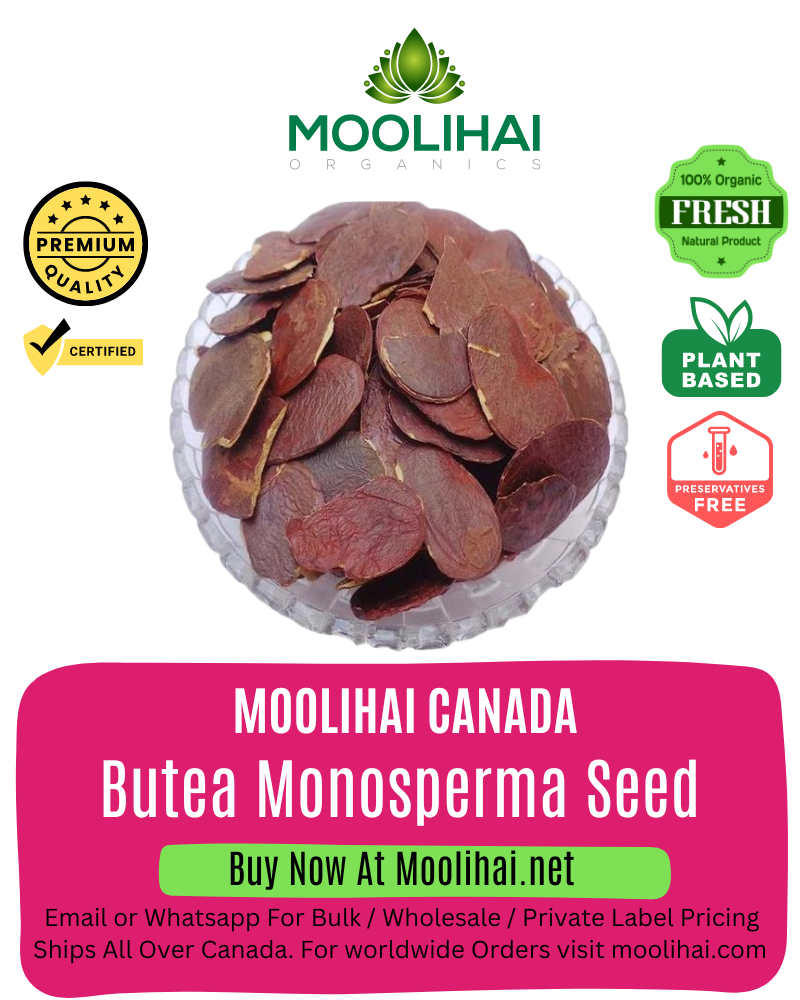 Butea Monosperma Seed