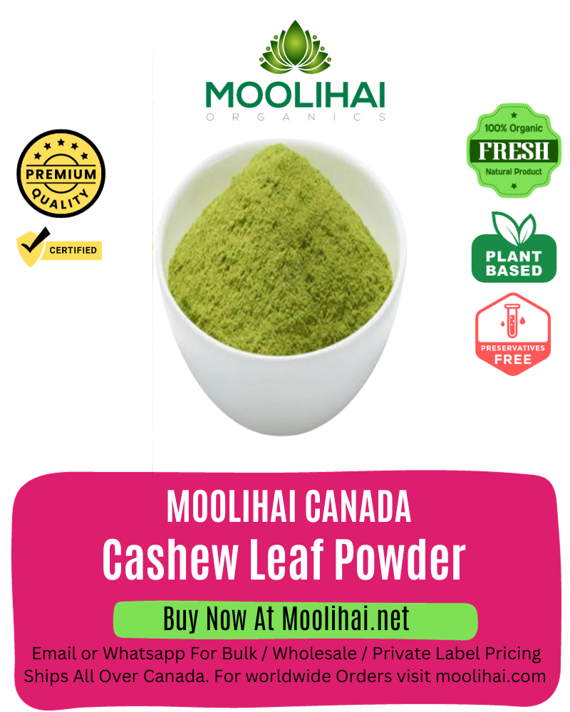 Cashew Leaf Powder/Anacardium Occidentale Powder