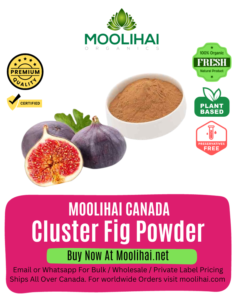 Cluster Fig Powder / Gular powder - 100 g