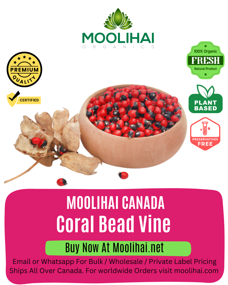 Coral Bead Vine / Rosary Pea