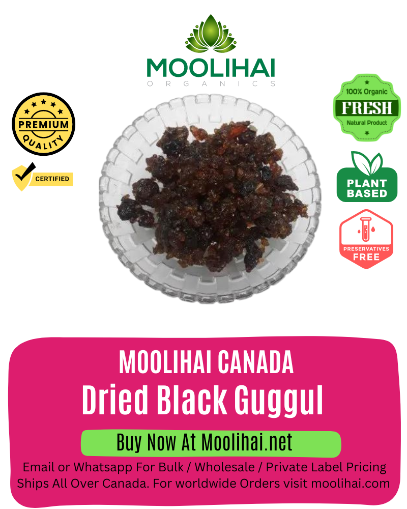 Black Dried Indian Bdellium / Dried Black Guggul/ Commiphora Mukul /Guggal / Gugul / Shallai / Boswellia Serrata Gum