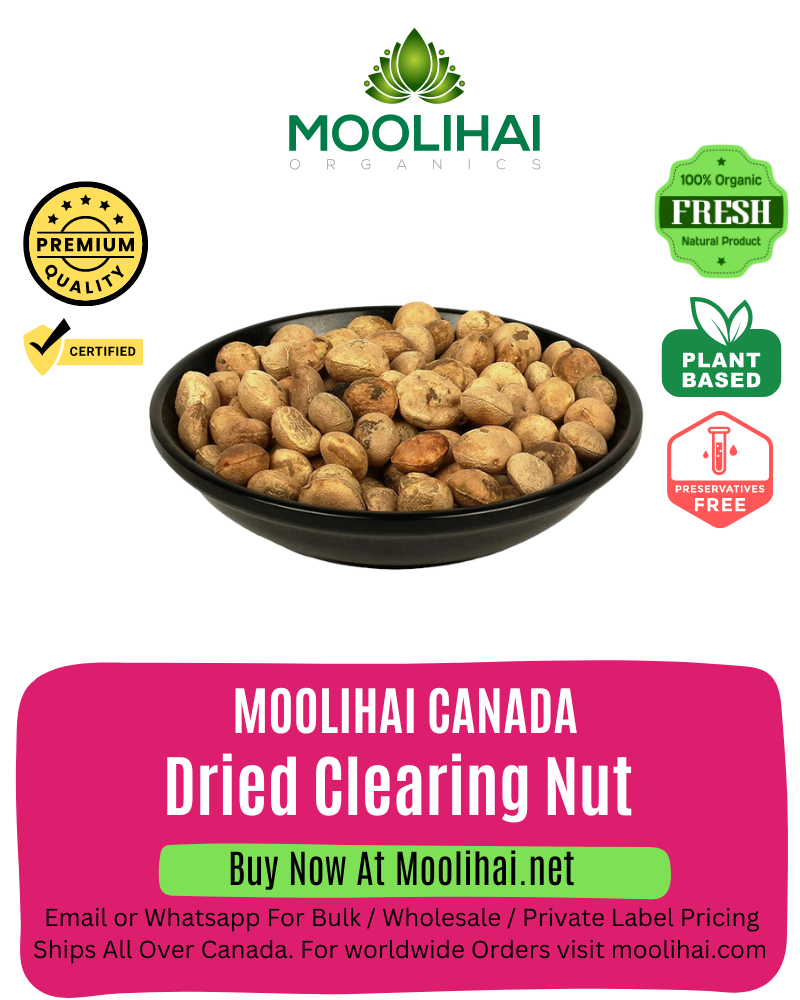 Dried Clearing Nut / Thetran Kottai