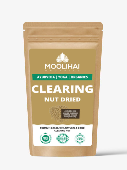 Dried Clearing Nut / Thetran Kottai - Image 2