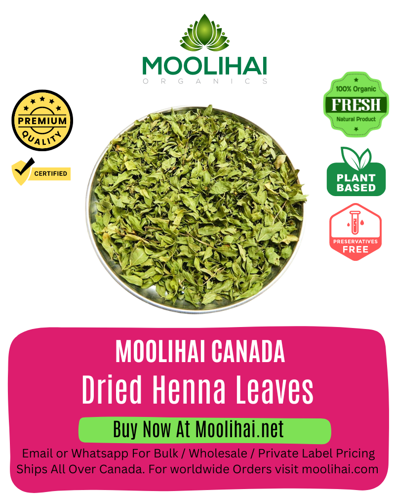 Dried Henna Leaves / Mehndi Powder
