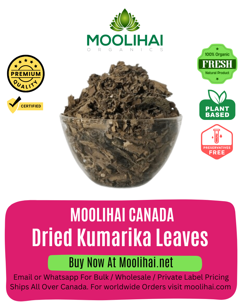Dried Kumarika Leaves / Kal Thamarai Ilai