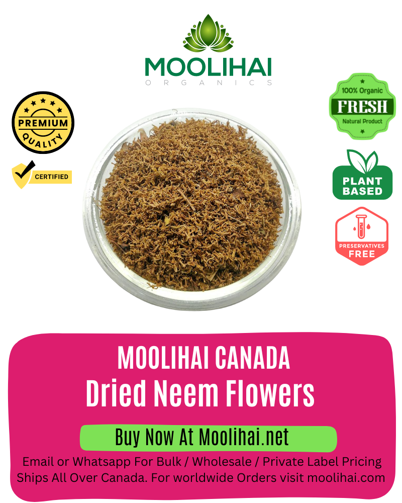 Natural Dried Neem Flowers / Nimba flowers / Dried Indian Lilac Flower
