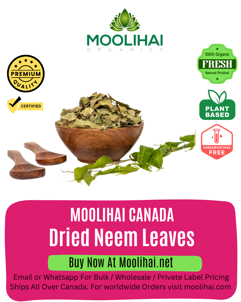 Organic & Pure Dried Neem Leaves / Veppa Ilai / Azadirachta indica - 100 gm