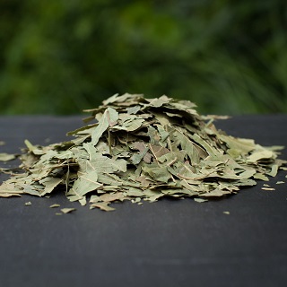 Organic & Pure Dried Neem Leaves / Veppa Ilai / Azadirachta indica - 100 gm - Image 2