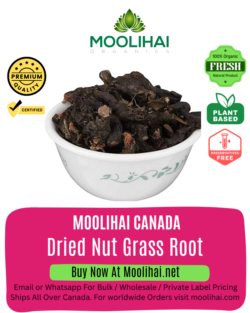 Dried Nut Grass Root / Korai Kilangu / Cyperus Rotundus