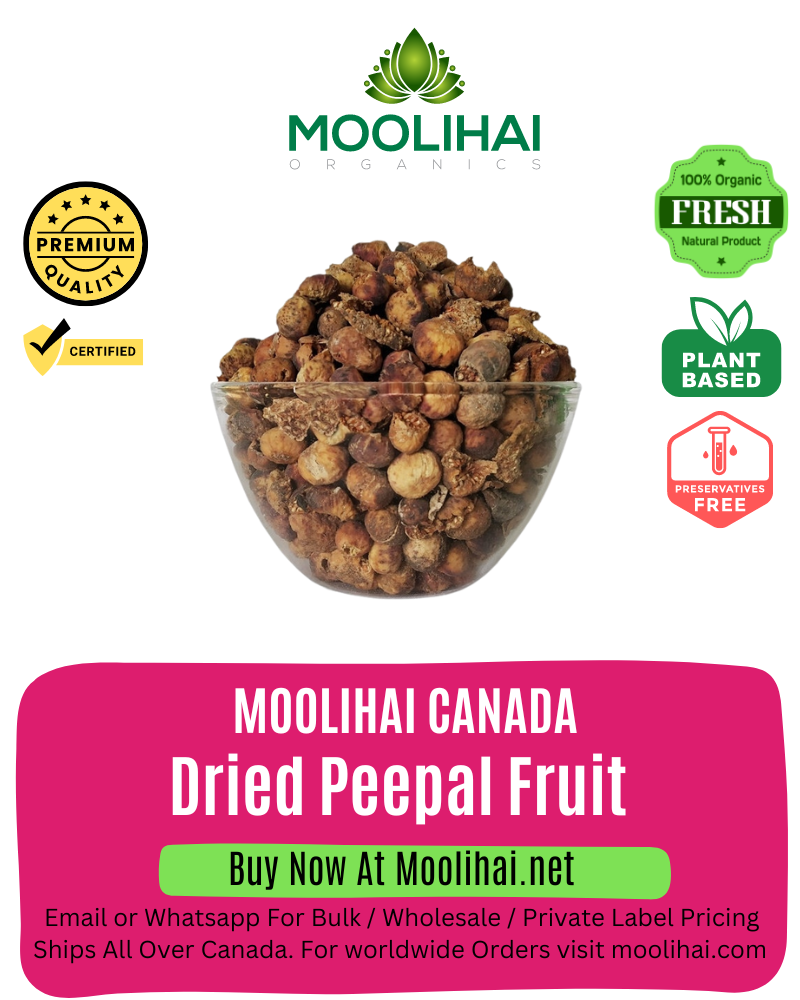 Dried Peepal Fruit