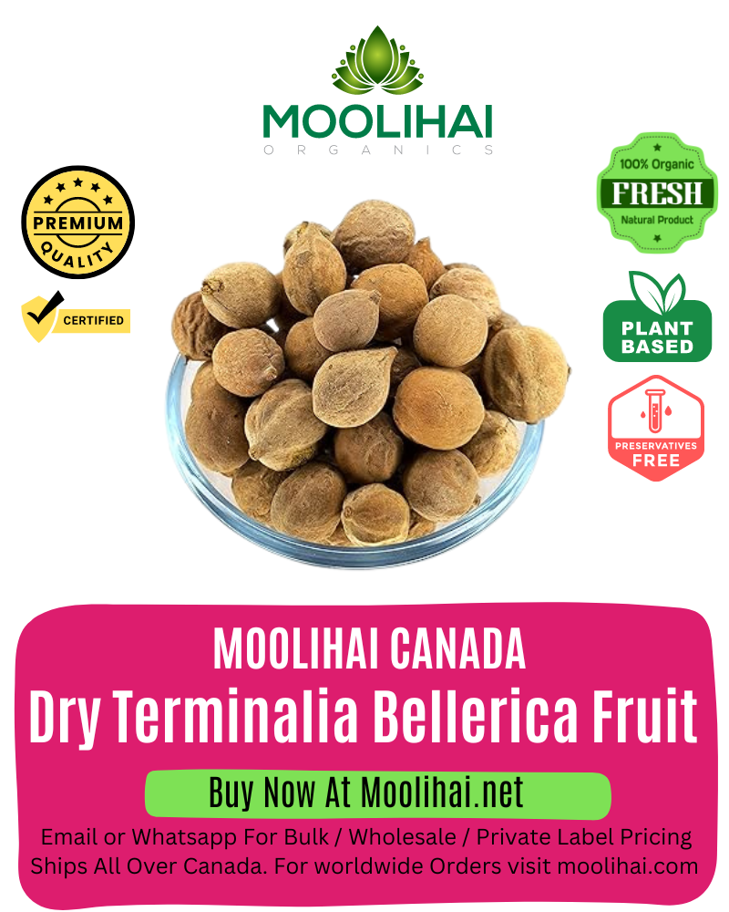Dry Bellerica Fruit / Tandrikkai / Baheda / Dry Terminalia Bellerica Fruit