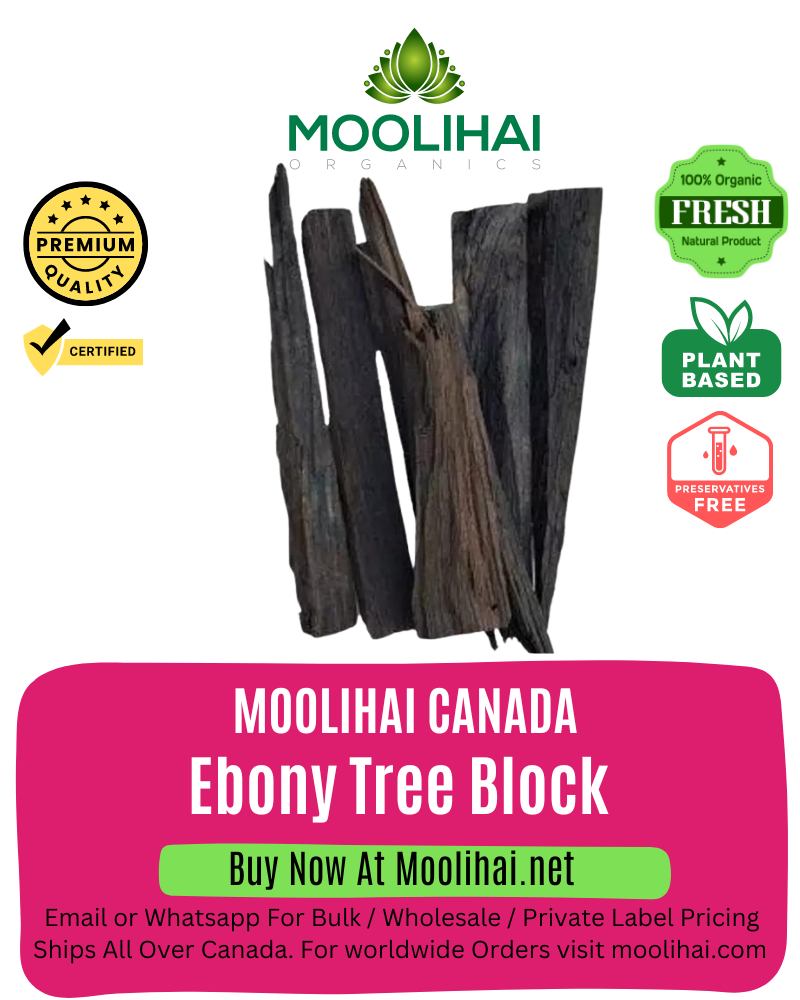 Natural Ebony Wood / Karungali Kattai