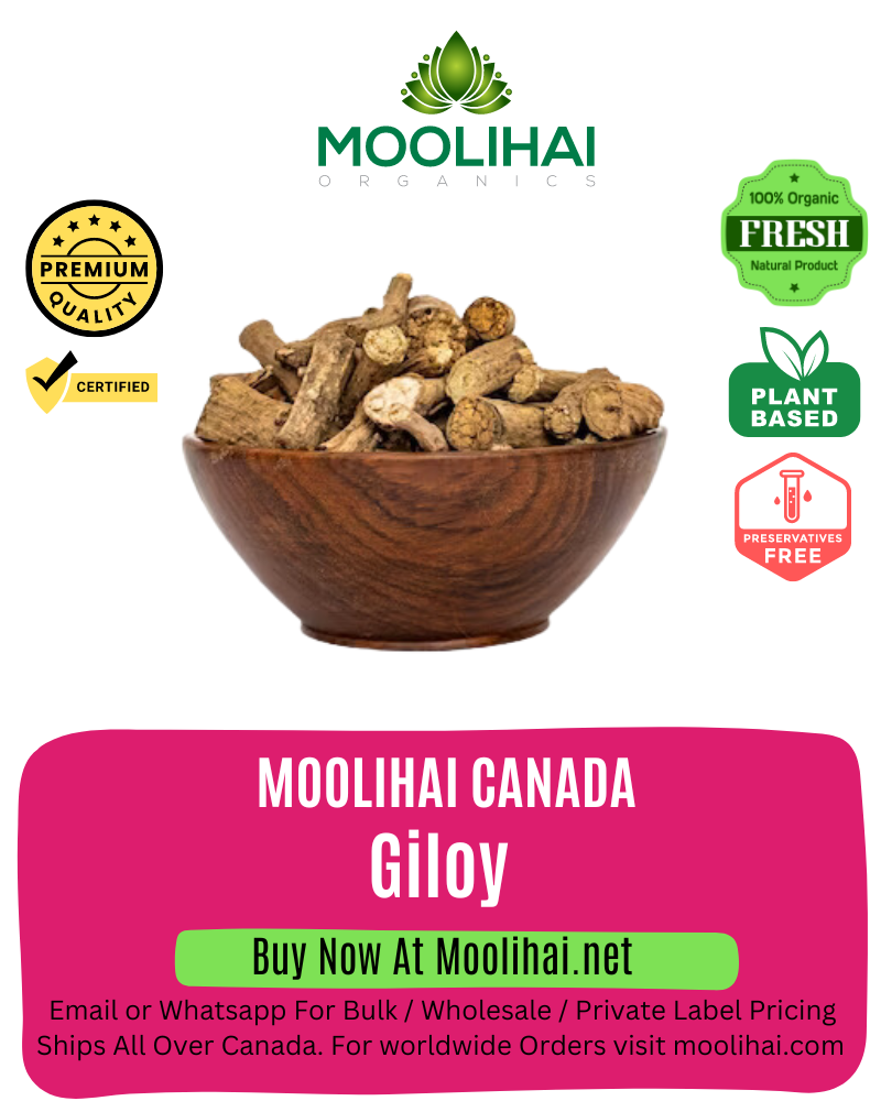 Giloy / Guduchi/ Seenthil Kodi / Tinospora cordifolia / Heart-Leaved Moonseed Dried