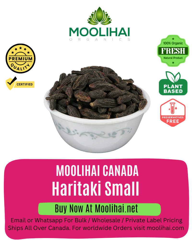 Organic Haritaki Small / Pinju Kadukkai / / Terminalia Chebula / Haritaki / Haralu / Black Himej / Myrobalan / Harad Choti / Harad / Aralu / Harar
