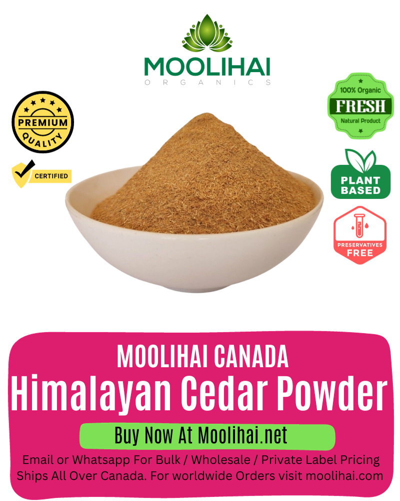 Himalayan Cedar Powder / Devadaram Podi/ Deodar Wood Powder / Cedrus Deodara Powder
