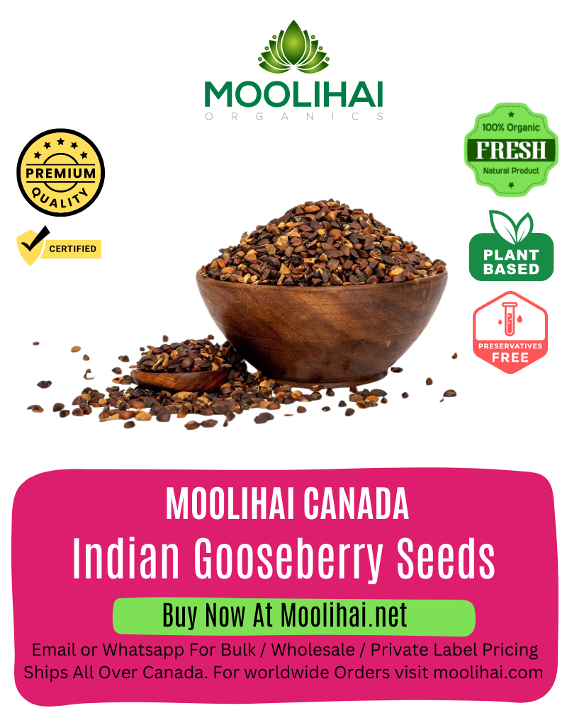 Indian Gooseberry Seeds / Amla