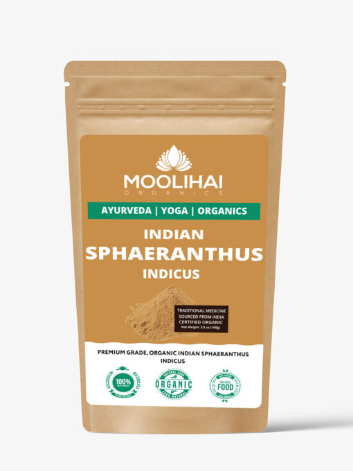 Indian sphaeranthus Dried / Kottai karantai - Image 2