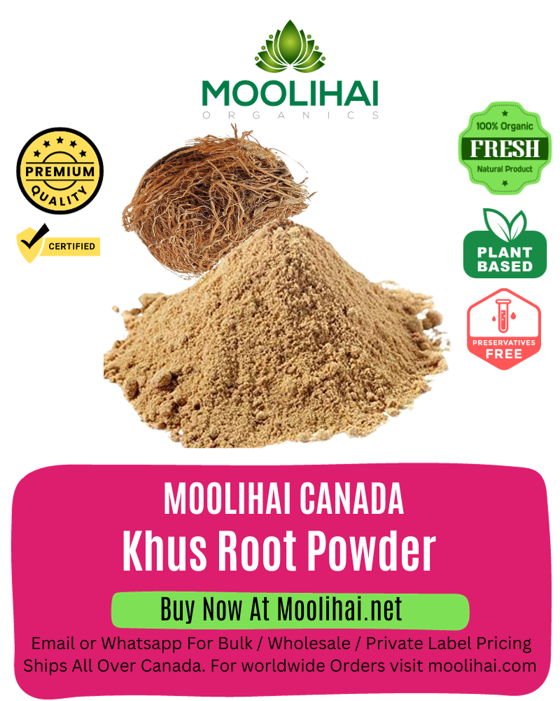 Khus Root Powder/ Vettiver Root Powder / Vettiver Powder / Indianjadibooti / Khus Jad Powder / Vetiveria Zizanioides Powder / Khuskhus - 100 gm