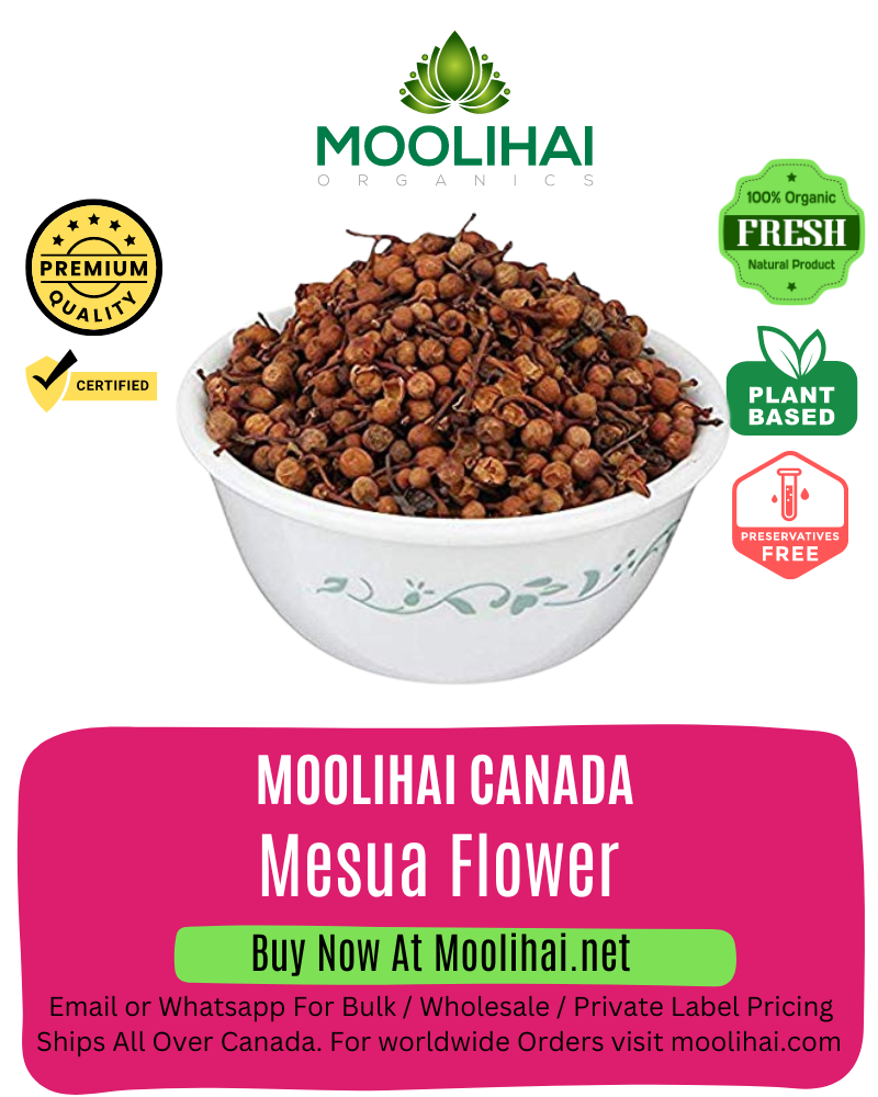 Mesua Flower / Leadwort / Siru Naga Poo / Nagkesar