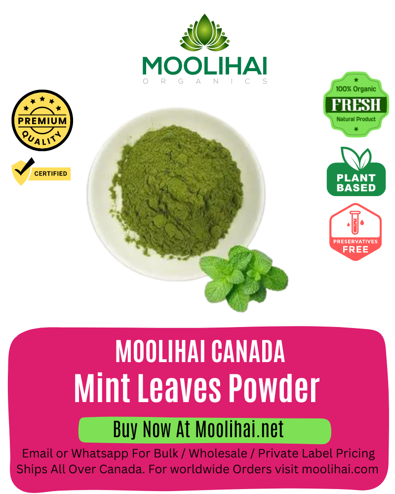 Mint Leaves Powder / Pudina Powder / Fresh Mint Leaf Powder
