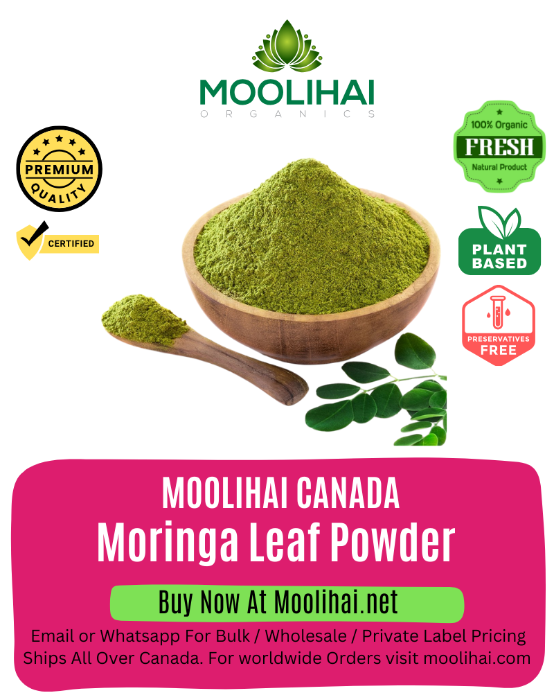 Organic Moringa Powder / Moringa Leaf Powder / Organic Moringa Oleifera Powder
