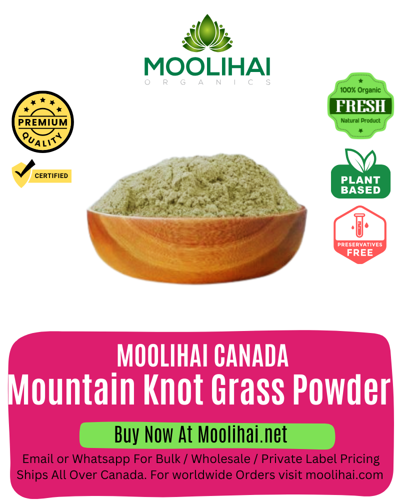 Mountain Knot Grass Powder / Sirukan Peelai Podi / Aerva Lanata / Paashanbheda