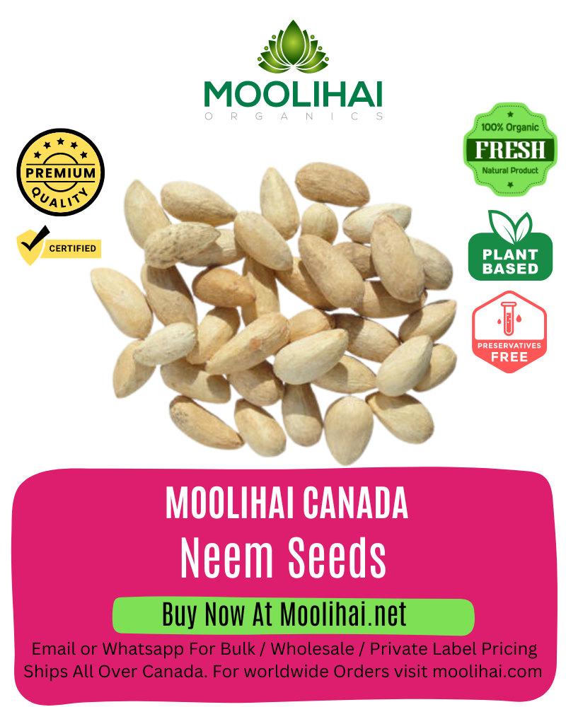 Neem Seeds