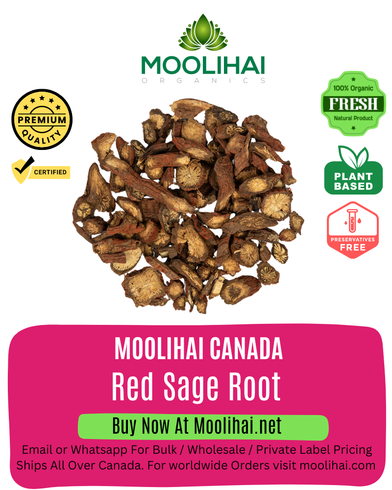 Red Sage Root / Bedmen kilangu