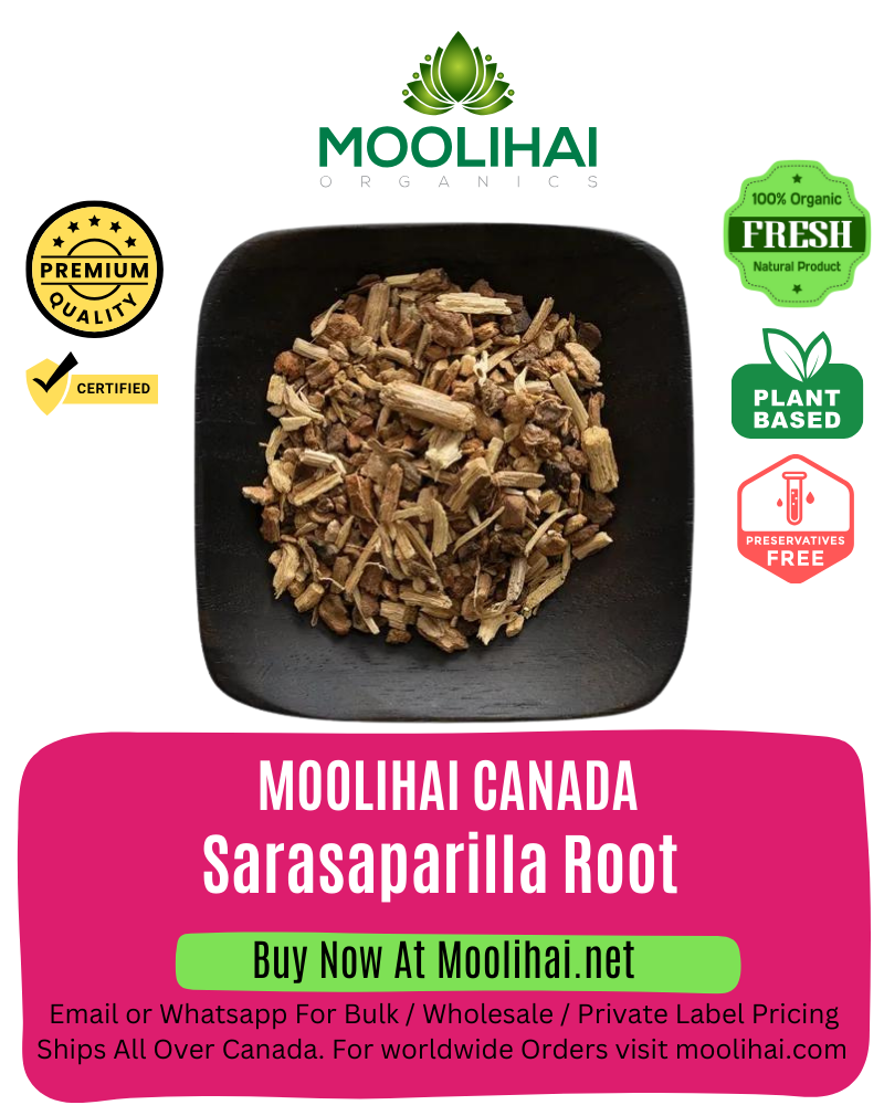 Sarasaparilla Root / Nannari